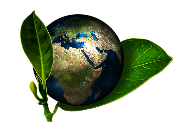 Illustration of Suji Farm's expertise in organic cultivation, sustainable farming, and eco-friendly practices